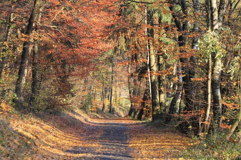 Fotowettbewerb Wilgersdorf - Rosa Maria Hartmann