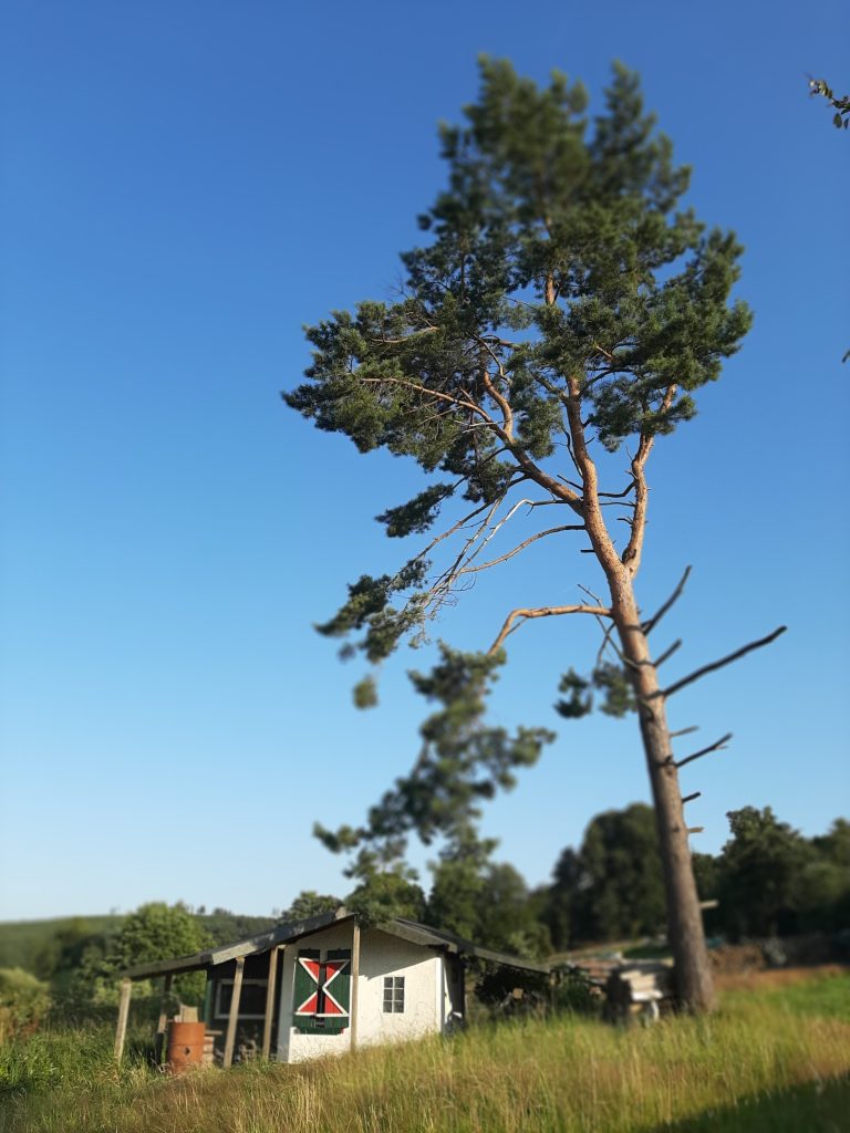 Fotowettbewerb Wilgersdorf - Carolien Fries