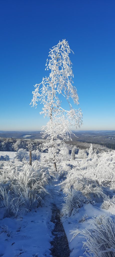 Fotowettbewerb Wilgersdorf - KatjaHetrodt