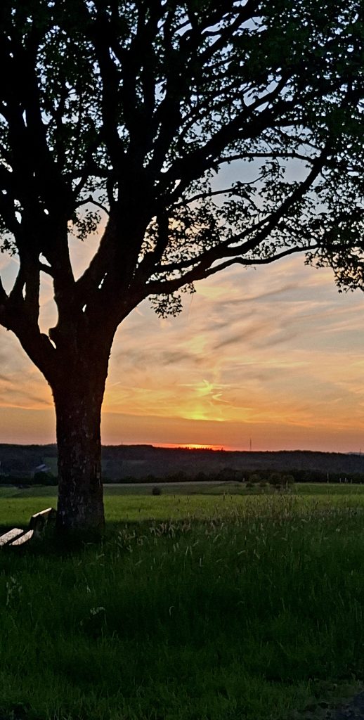 Fotowettbewerb Wilgersdorf - KatjaHetrodt