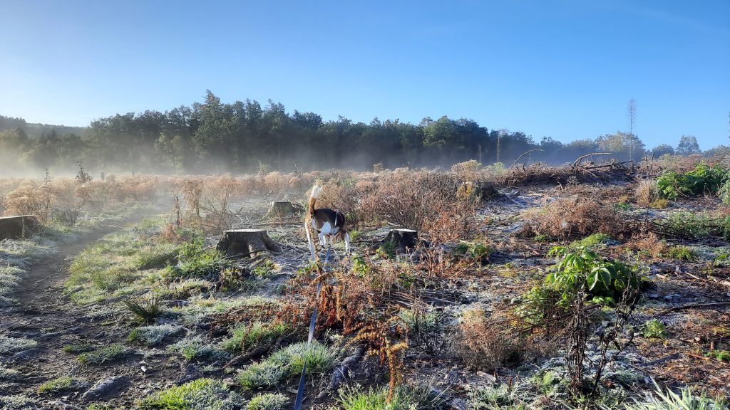 Fotowettbewerb Wilgersdorf - Idra Kühn