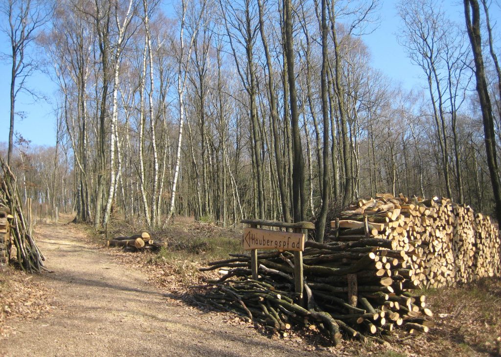 Fotowettbewerb Wilgersdorf - Rosa Maria Hartmann