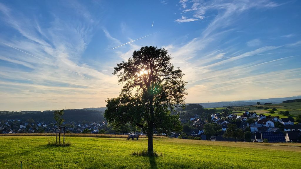 Fotowettbewerb Wilgersdorf - Pia Mockenhaupt