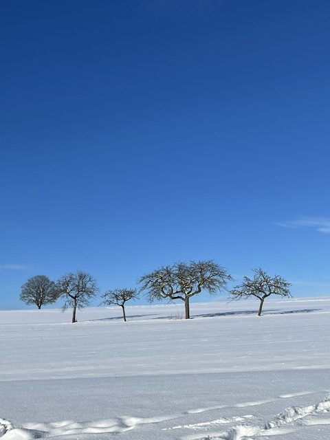Fotowettbewerb Wilgersdorf - Inga Krumm