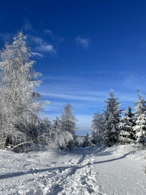 Fotowettbewerb Wilgersdorf - Inga Krumm
