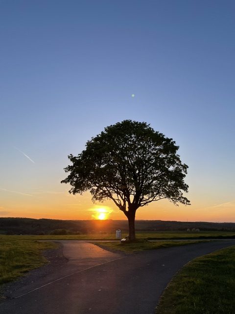Fotowettbewerb Wilgersdorf - Inga Krumm