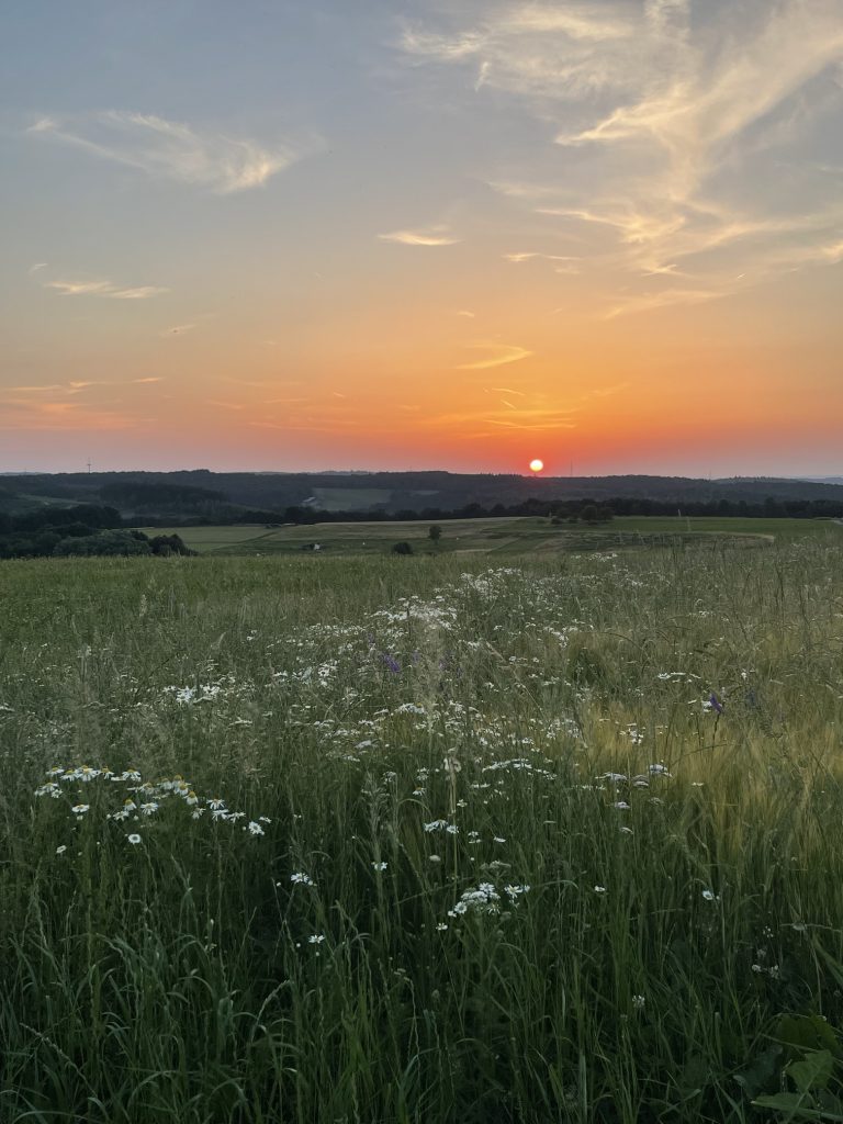 Fotowettbewerb Wilgersdorf - Inga Krumm